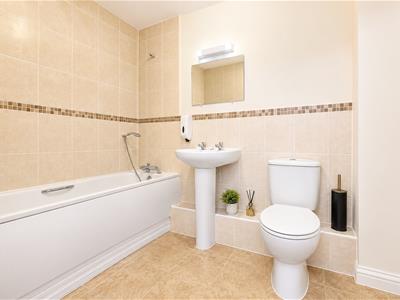 Picture 9